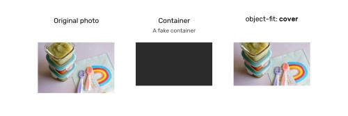 Подробное рассмотрение object-fit и background-size в CSS Подробное рассмотрение object-fit и background-size в CSS