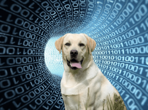 Подборка смешных мемов о SEO в 2021 году
         
            Подборка смешных мемов о SEO в 2021 году