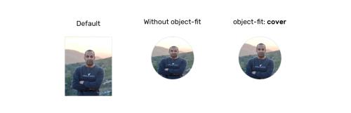 Подробное рассмотрение object-fit и background-size в CSS Подробное рассмотрение object-fit и background-size в CSS