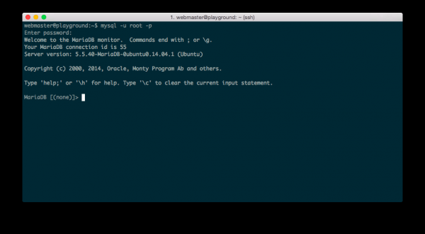 Часть 1: Настраиваем WordPress VPS