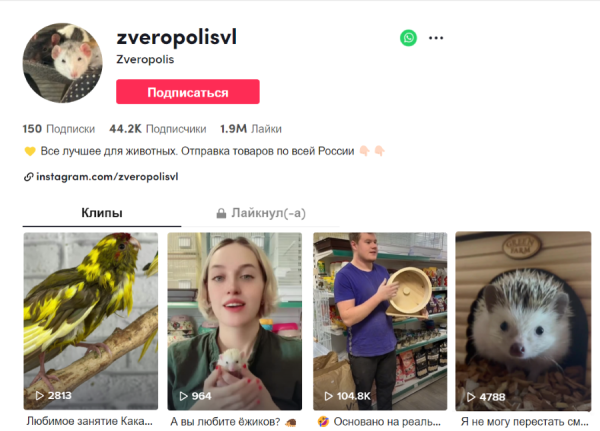 Реклама в TikTok: что платформа может предложить бизнесу Реклама в TikTok: что платформа может предложить бизнесу