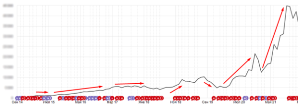 10 лет развития: от домена до сети клиник – ошибки, тактика, стратегия. Кейс продвижения сети ветеринарных клиник 10 лет развития: от домена до сети клиник – ошибки, тактика, стратегия. Кейс продвижения сети ветеринарных клиник