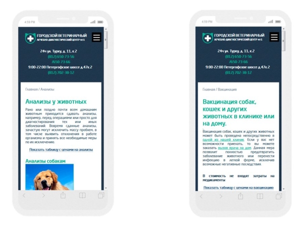 10 лет развития: от домена до сети клиник – ошибки, тактика, стратегия. Кейс продвижения сети ветеринарных клиник 10 лет развития: от домена до сети клиник – ошибки, тактика, стратегия. Кейс продвижения сети ветеринарных клиник