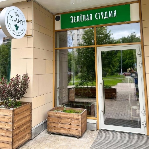 Выращиваем поисковый трафик на засушливой почве ограничений. Кейс зеленой студии The Plant Выращиваем поисковый трафик на засушливой почве ограничений. Кейс зеленой студии The Plant