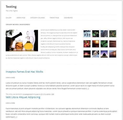 Создаем крутые страницы рубрик в WordPress