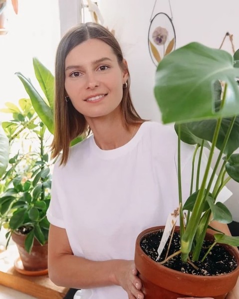 Выращиваем поисковый трафик на засушливой почве ограничений. Кейс зеленой студии The Plant Выращиваем поисковый трафик на засушливой почве ограничений. Кейс зеленой студии The Plant