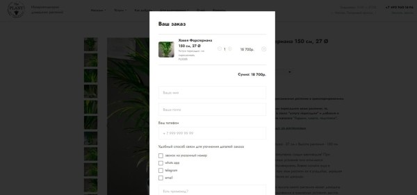 Выращиваем поисковый трафик на засушливой почве ограничений. Кейс зеленой студии The Plant
         
            Выращиваем поисковый трафик на засушливой почве ограничений. Кейс зеленой студии The Plant