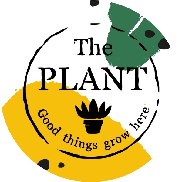 Выращиваем поисковый трафик на засушливой почве ограничений. Кейс зеленой студии The Plant Выращиваем поисковый трафик на засушливой почве ограничений. Кейс зеленой студии The Plant