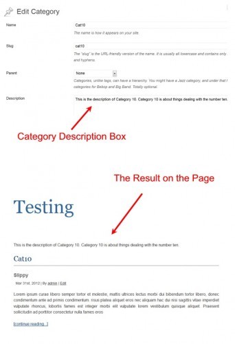 Как вывести описание к рубрикам в вашей теме WordPress