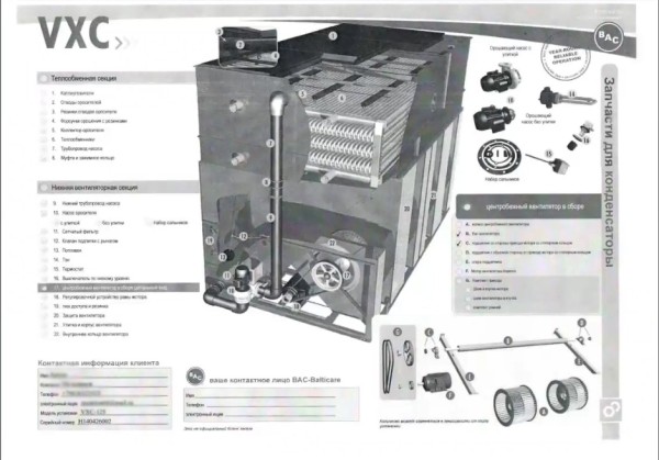 Особенности SEO в узкой нише. Кейс компании Bacparts Особенности SEO в узкой нише. Кейс компании Bacparts