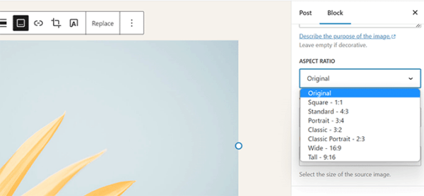 Что появится в WordPress 6.3: превью планируемых нововведений и улучшений