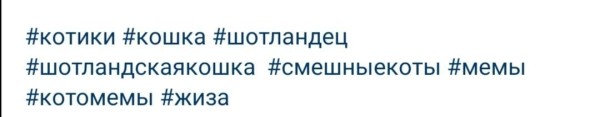 
            Что делать с Instagram* в 2023 году
        