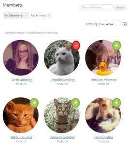 Как создать произвольный каталог членов сообщества в BuddyPress