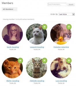 Как создать произвольный каталог членов сообщества в BuddyPress