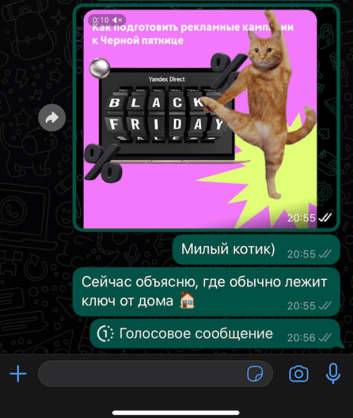 
            В WhatsApp появилась функция однократного прослушивания для голосовых сообщений
        
