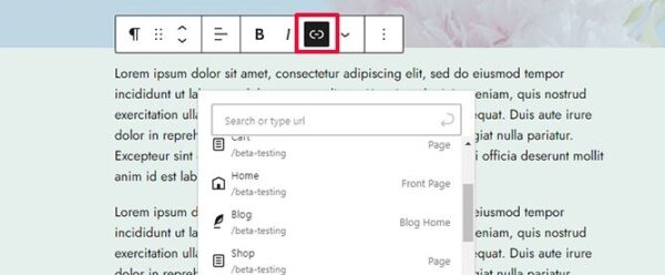 WordPress 6.5 «Retina»: обновления производительности, новый функционал библиотеки шрифтов и многое другое