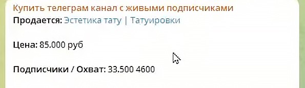 Матвей Северянин дает экспертный отзыв: 788 000 ₽ за месяц на продаже Telegram-каналов – реально