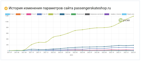 Как продвинуть региональный интернет-магазин оборудования для скейтбординга
         
            Как продвинуть региональный интернет-магазин оборудования для скейтбординга